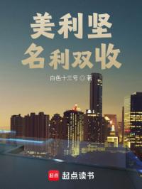 美利坚名利双收封面